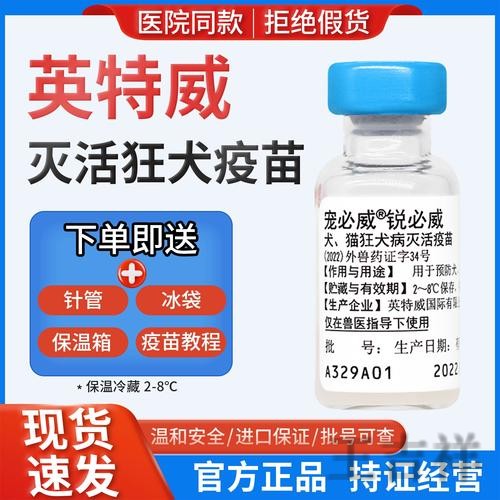 必威官方链接入口发布与使用说明